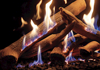 Wilderness Driftwood.png